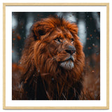 Majestic Lion King Of The Jungle Close Up Portrait thumbnail