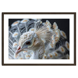 Close Up Albino Peacock Bird Portrait thumbnail