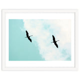 Crane(s) V thumbnail