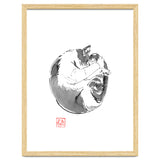 Round Cat thumbnail