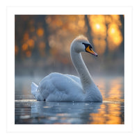 Beautiful Swan Floating On Water At Sunset (Print Only)