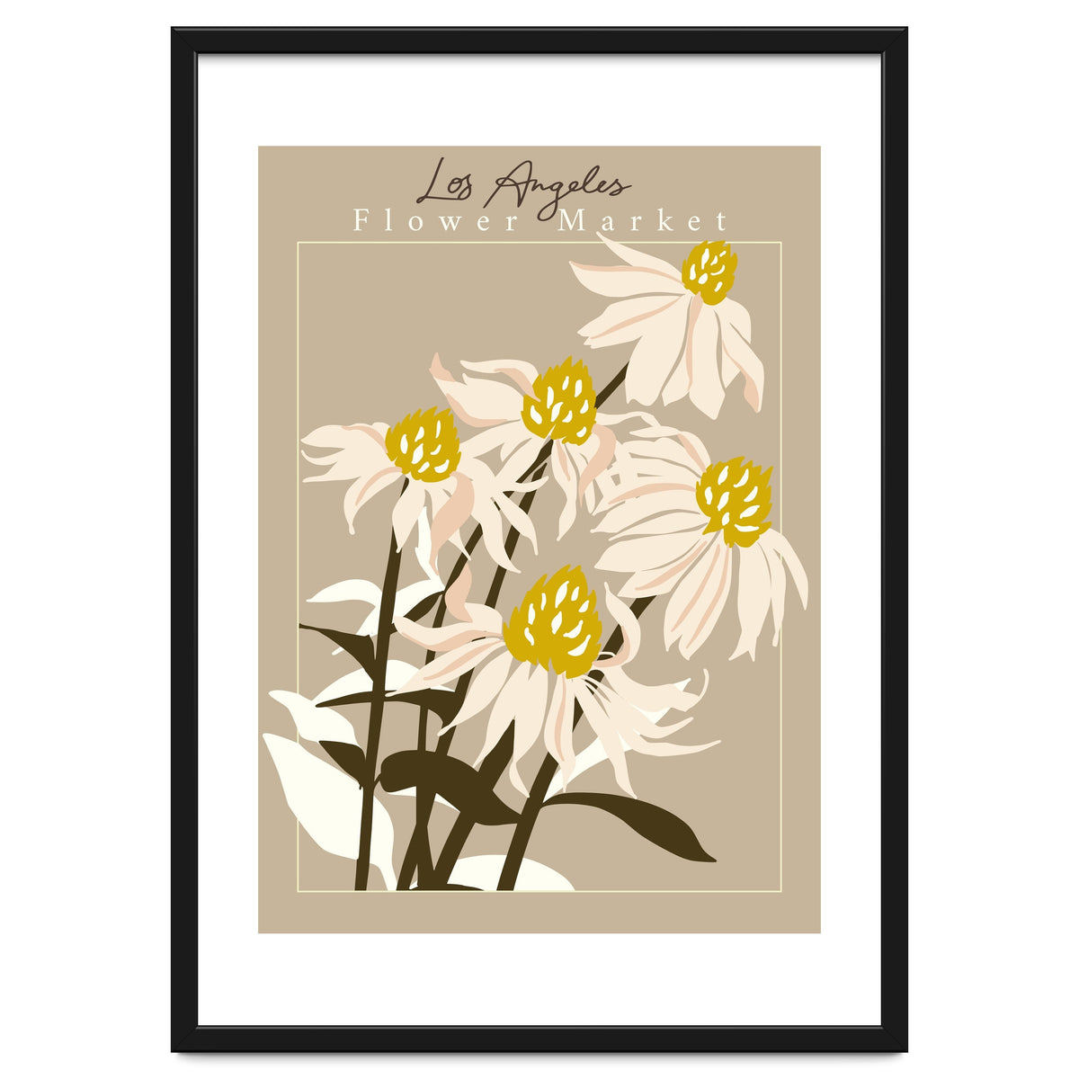 Flower Market Los Angeles Echinacea