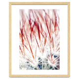Delicate Florals thumbnail