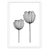 Two wildflowers thumbnail