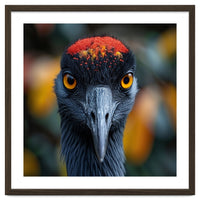 Close Up Of A Strikingly Beautiful Bird Face