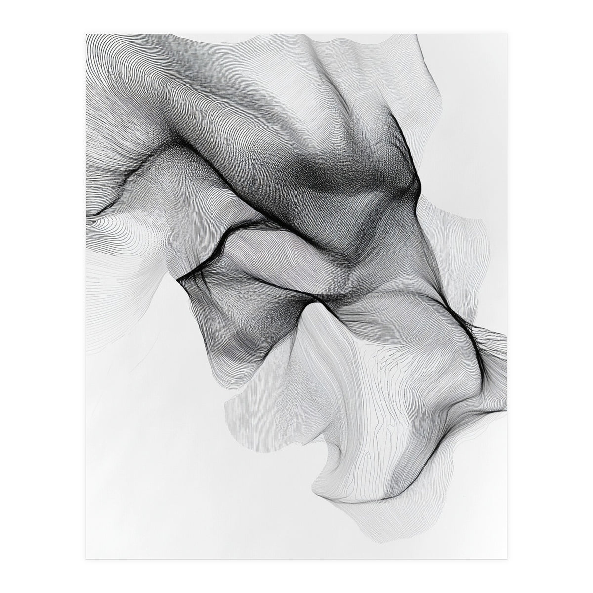 Abstract Black And White Flowing Lines Forming Organic Shapes And Forms (Print Only)