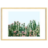 Blush Cactus #society6 #decor #buyart thumbnail
