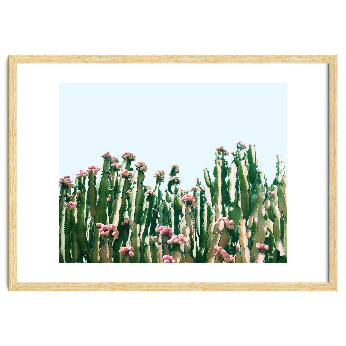 Blush Cactus #society6 #decor #buyart