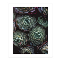 Succulent Plant Ii (Print Only)