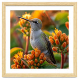 Hummingbird Perched On Orange Flowers thumbnail