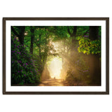 Hare in paradise thumbnail