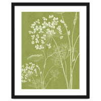Wildflowers III