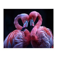 Two Pink Flamingos Forming A Heart Shape (Print Only)
