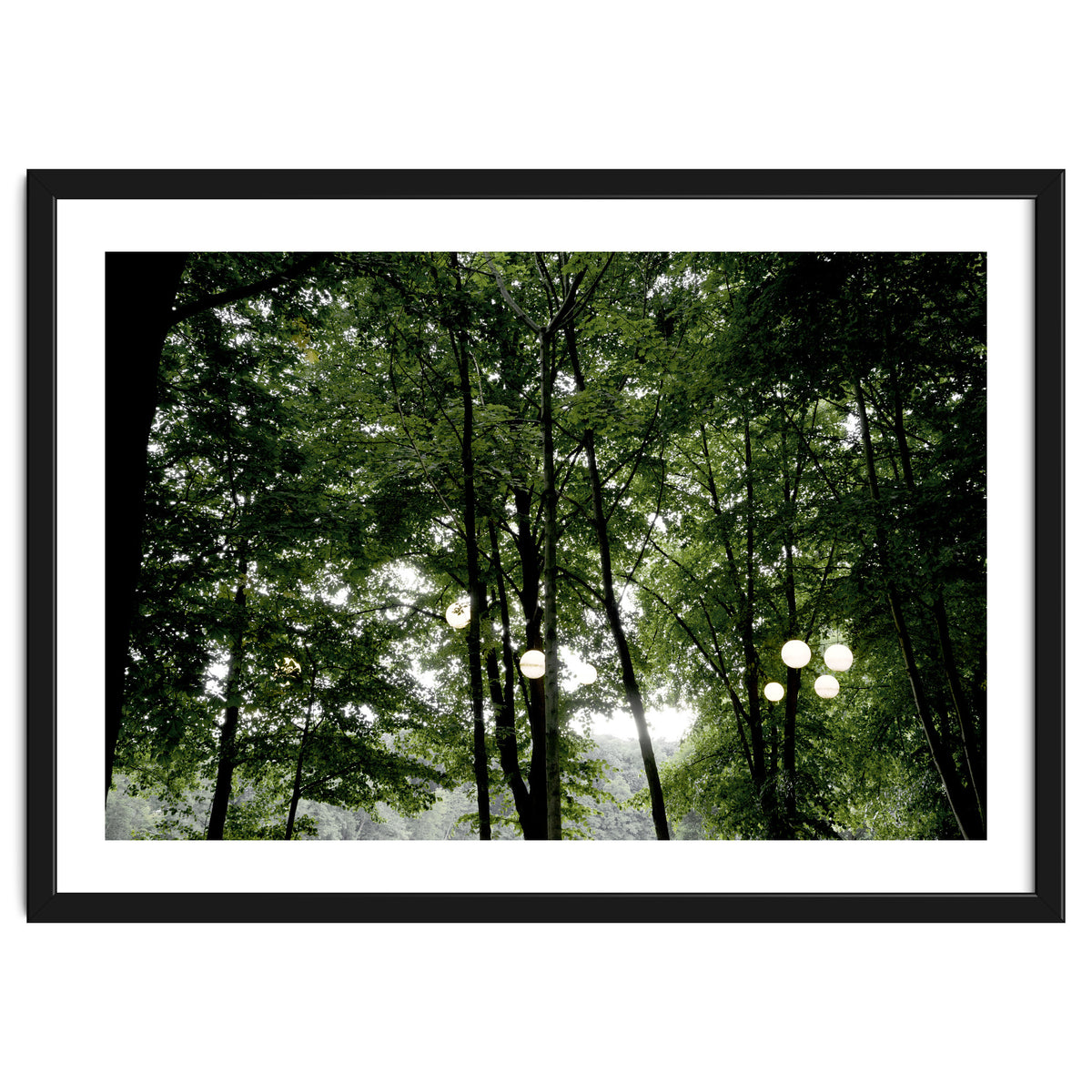 Light bulb among the trees in the summer forest