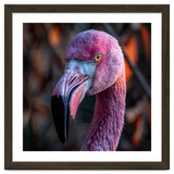 Close Up Of A Pink Flamingo Bird Face thumbnail