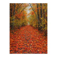 Lush Autumn Forest Path Covered (Print Only)