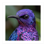 Vibrant Purple Bird With Water Droplets (Print Only) thumbnail