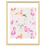 Flamingo Formation thumbnail