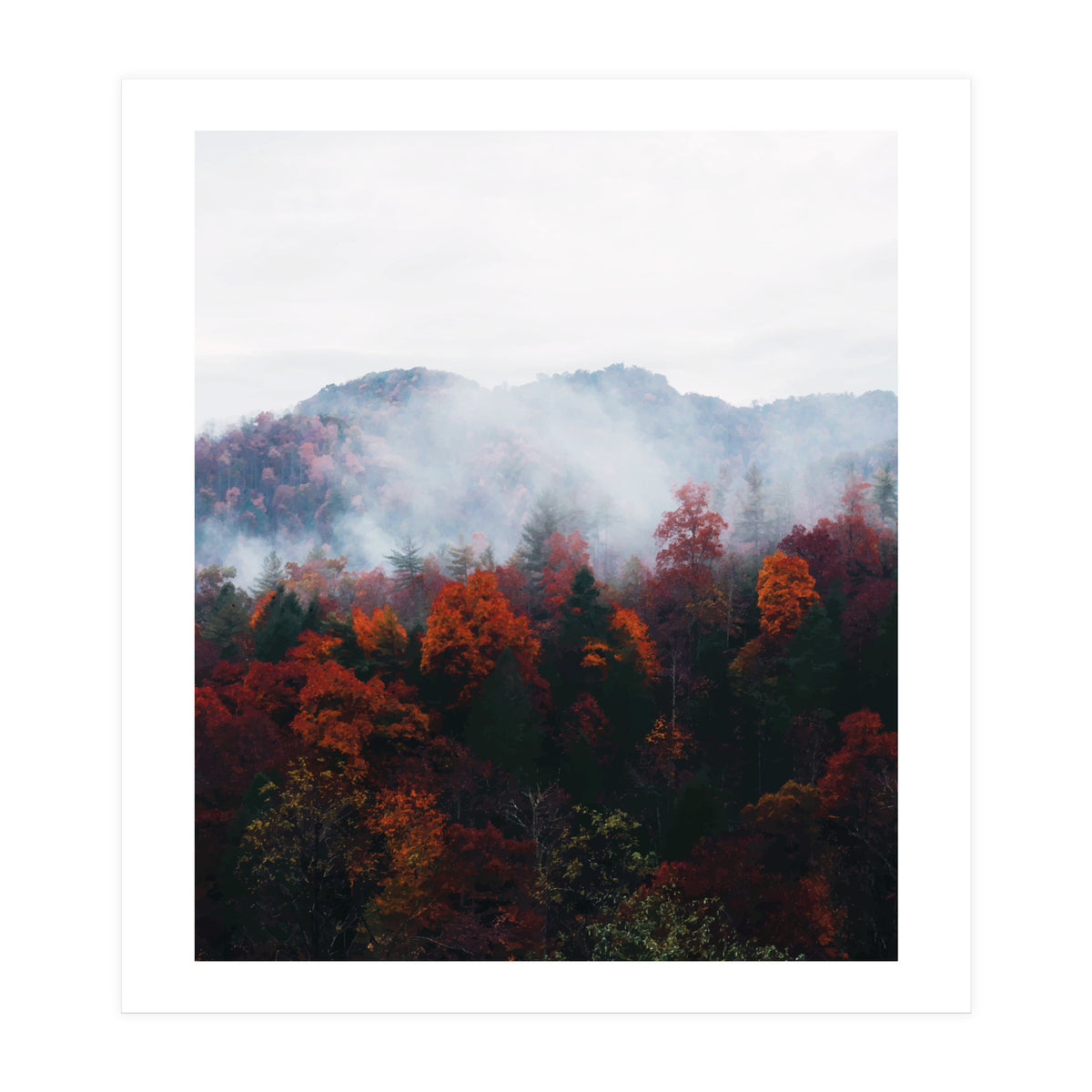 Fog (Print Only)