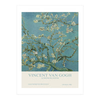 Vincent van Gogh - Almond blossom (Print Only)