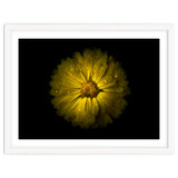 Backyard Flowers No 10 Color Version thumbnail