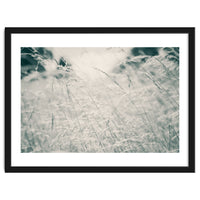 Walking Through Long Grass