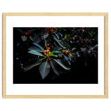 Orange, Green and Dark thumbnail
