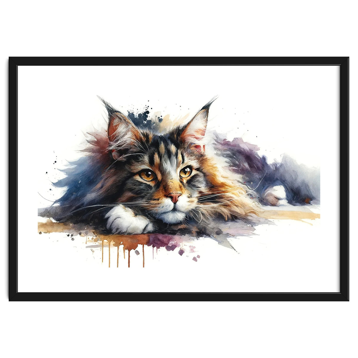 Maine Coon Resting Portrait