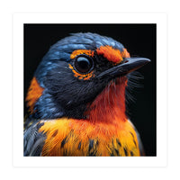 Vibrant Bird With Orange And Blue Plumage (Print Only)