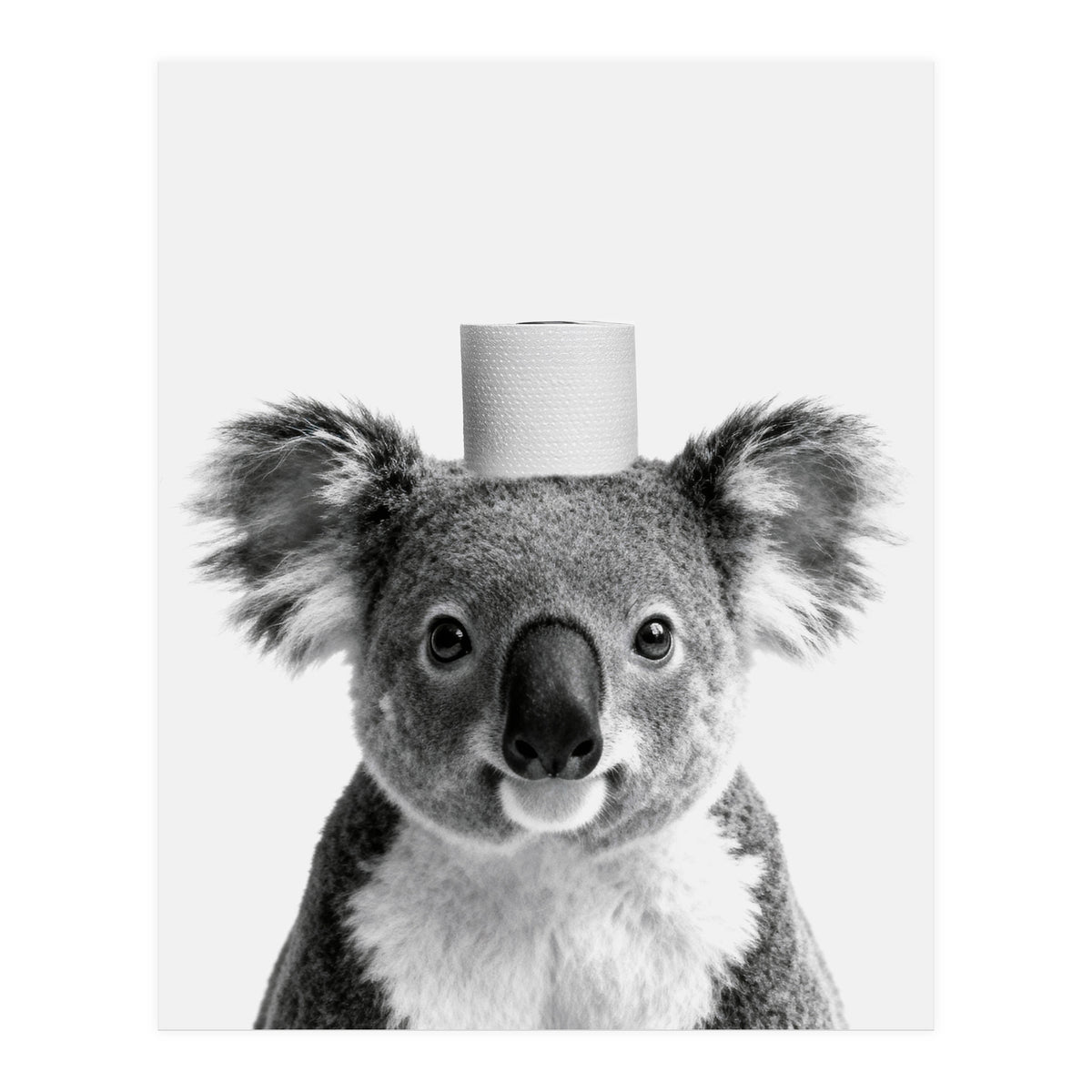 Koala, Toilet Paper Crown, Cute Animal Bathroom Art (Print Only)