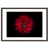 Backyard Flowers No 45 Color Flow Version thumbnail