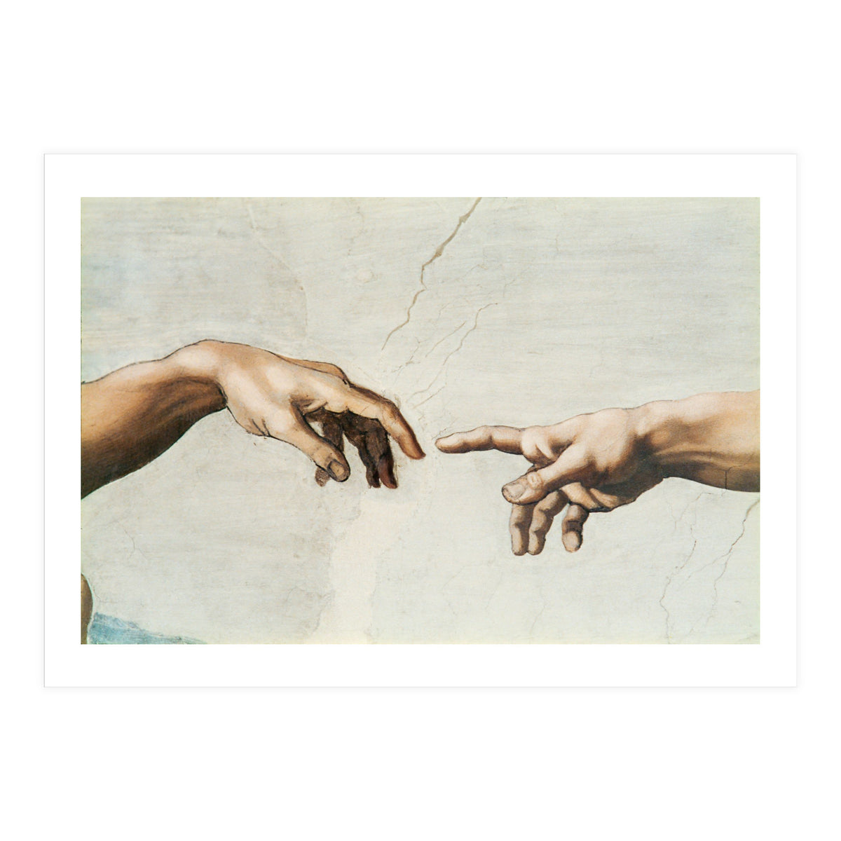 The Sistine Chapel; ceiling frescos after restoration. The creation of Adam. (Print Only)