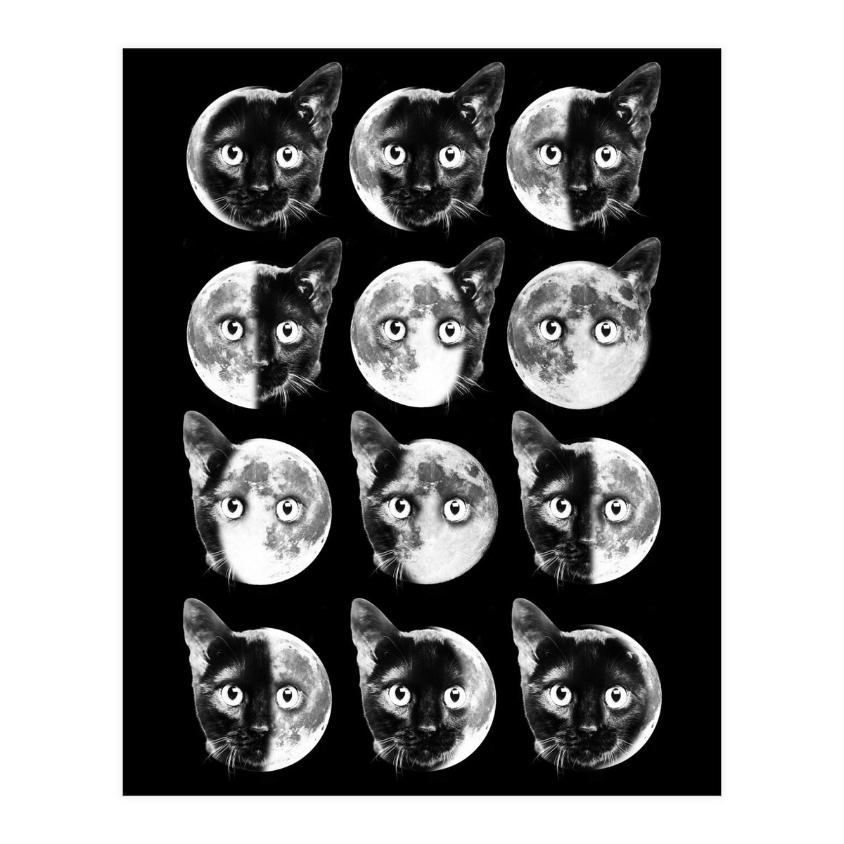 Cat Moon Phases (Print Only)
