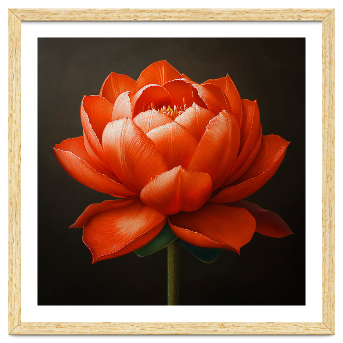 Double Lotus | Scarlet Solace