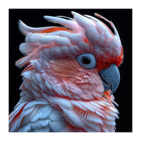 Pink Cockatoo Parrot Close Up Portrait Feather  (Print Only)