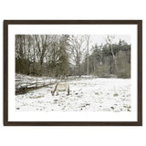 White horse in the snow field thumbnail