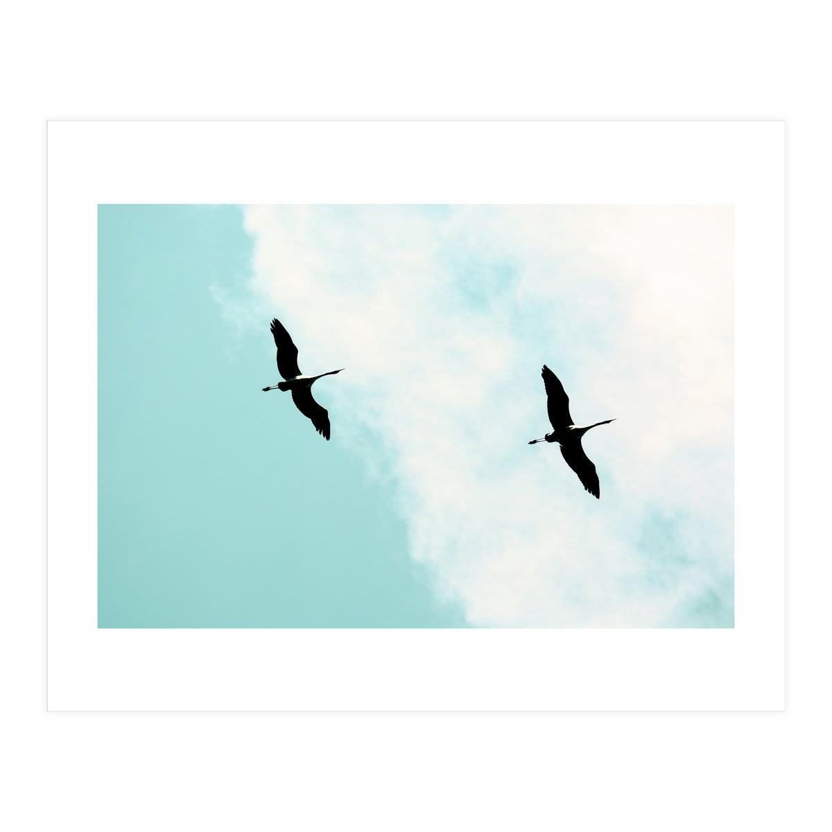 Crane(s) V (Print Only)