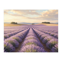 Provençal Sunset: Lavender Field Landscape (Print Only)