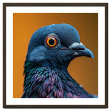 Close Up Of A Pigeon's Head And Neck thumbnail