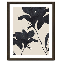 Shadowed Blooms