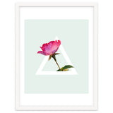 Rose thumbnail