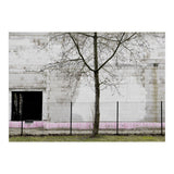 A tree in front of the wall (Print Only) thumbnail