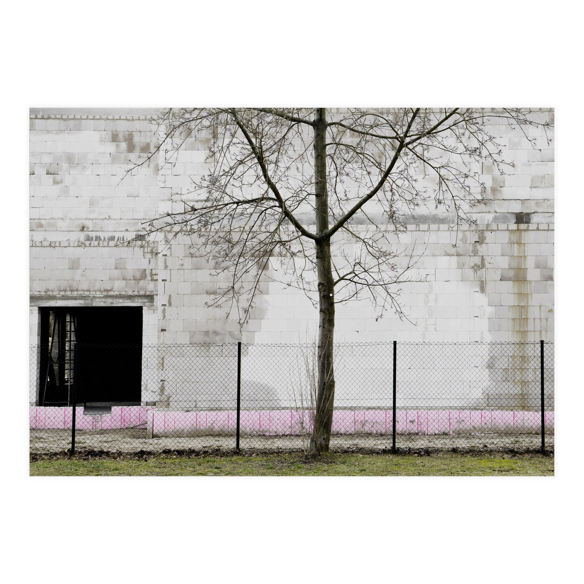 A tree in front of the wall (Print Only)