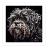 Old Dog 02 (Print Only) thumbnail