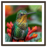 Close Up Of A Hummingbird On Red Flowers thumbnail