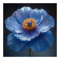Meconopsis | Sapphire Serenade (Print Only)
