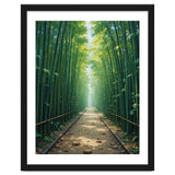 The Emerald Path: A Sun-Drenched Journey thumbnail