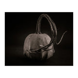 Gourds No 14 (Print Only) thumbnail