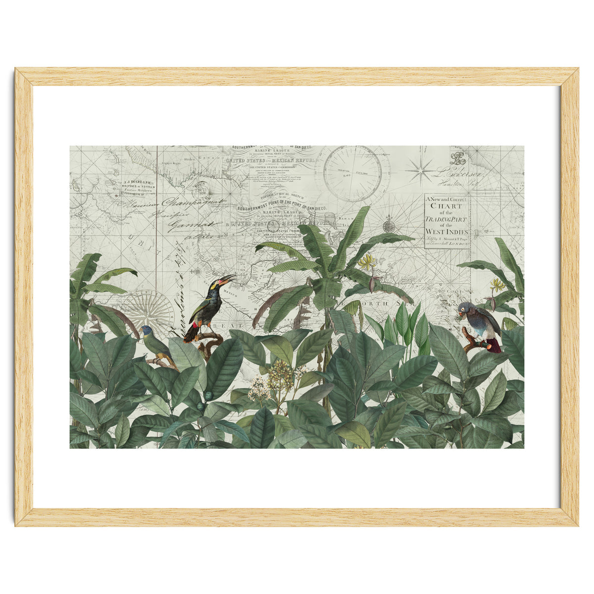 Explore The New World