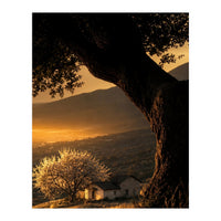 The Hill (Print Only)